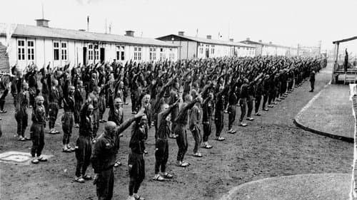 KZ Mauthausen. Von Fotografen, Häftlingen, Henkern Bild 4
