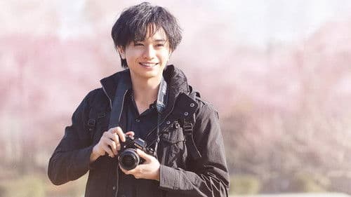 桜のような僕の恋人 Bild 4