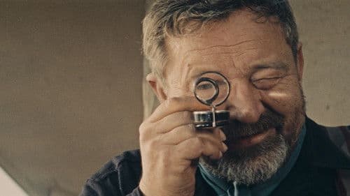 Wenn der Kater kommt Bild 5