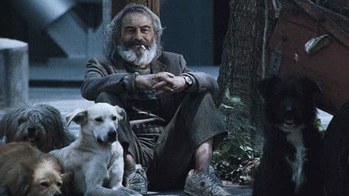 Amores perros Bild 1