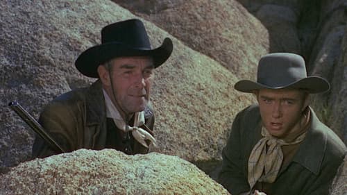 Goldraub in Texas Bild 2