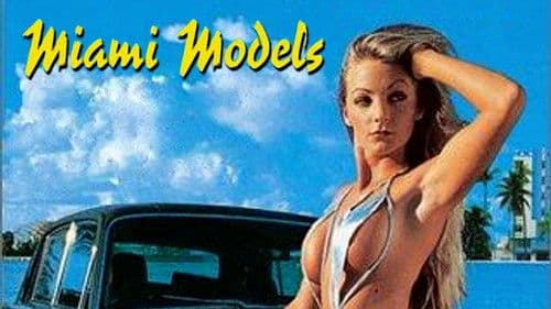 Miami Models Bild 3