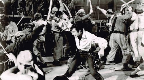 Piraten von Tortuga Bild 1