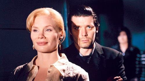 Lichter der Vorstadt Bild 5