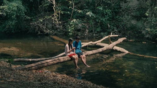 เฮมิเมตา Bild 1