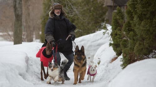 Absturz ins Leben Bild 5