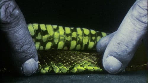 en el río manso Bild 1