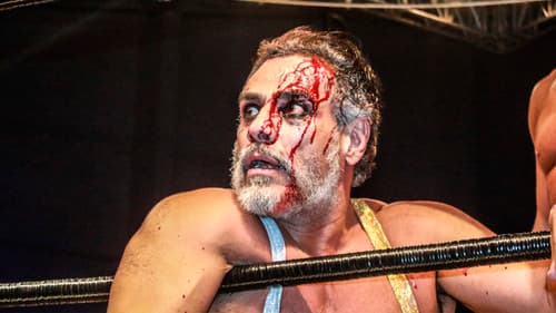 AAA Héroes Inmortales XII Bild 6