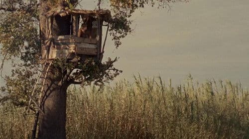 Ein Sommer in Frankreich Bild 2