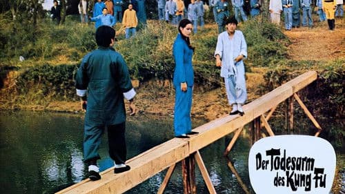 Der Todesarm des Kung Fu Bild 2