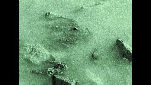 M.T. - Mar Terreno Bild 1