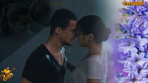 Цветы дождя Bild 1