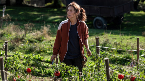 Wie wilde Tiere Bild 5