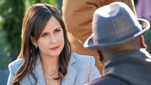 Hailey Dean Mysteries: Death on Duty Bild 6