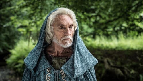 Viking Destiny Bild 5