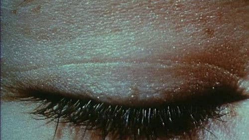 Une minute pour une image Bild 2