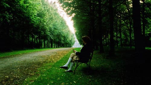 Els tres porquets Bild 1