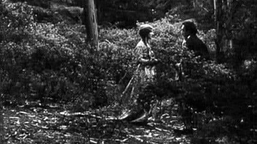 A Dança dos Paroxismos Bild 1