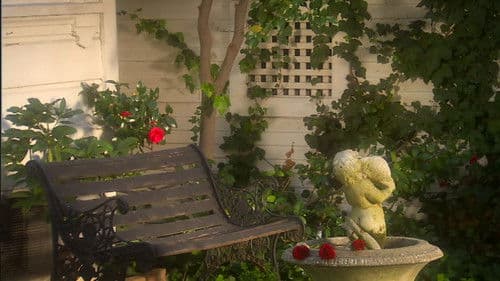 The Last Rose Bild 1