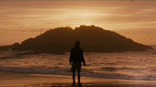 Into the Wild Bild 4