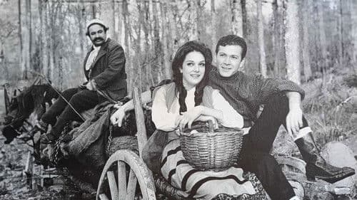 Senede Bir Gün Bild 7