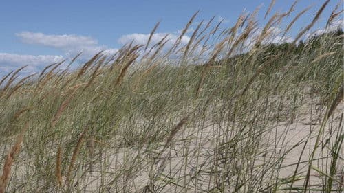 Par vasaru īsumā Bild 1