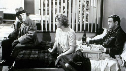 Der Gorilla lässt schön grüßen Bild 2