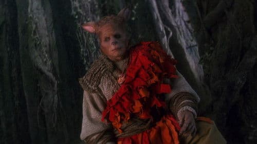 Die Krieger des Tao-Universums Bild 5