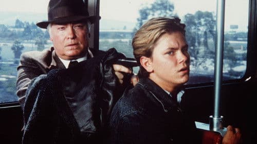 Little Nikita Bild 3