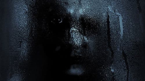 The Witch in the Window Bild 2