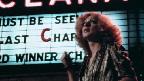 Scarecrow in a Garden of Cucumbers Bild 5