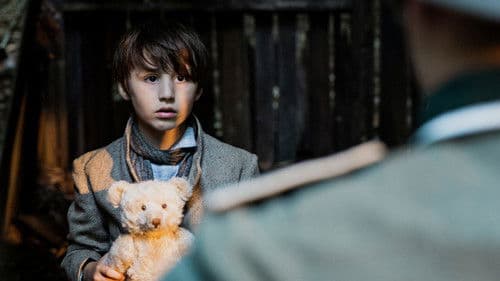 Die Vögel über dem Sund Bild 8