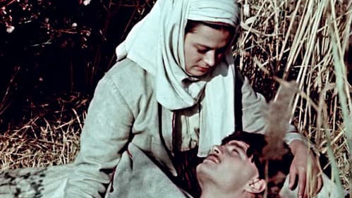 Дорогой ценой Bild 6