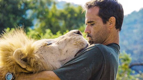 The Lion Ranger Bild 2