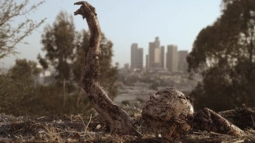 Starry Eyes - Träume erfordern Opfer Bild 1