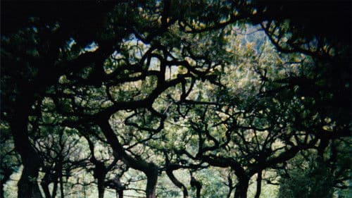 The Hedge Theater Bild 2