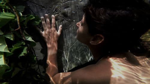 A Arte da Luz Tem 20.000 Anos Bild 1