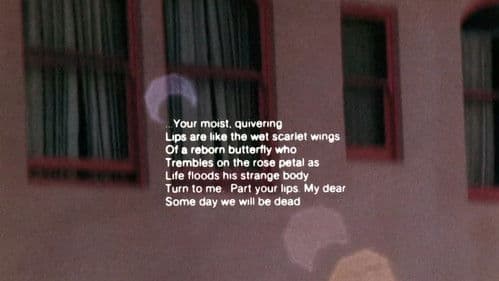 Illuminated Texts Bild 3