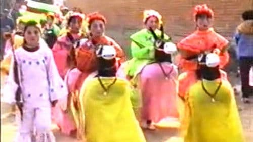 1995年2月2日民间举办迎喜花会 Bild 6