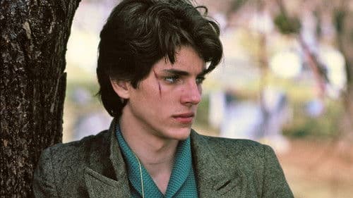 König der Zigeuner Bild 5