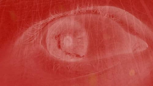 Here Lies Daniel Bild 2