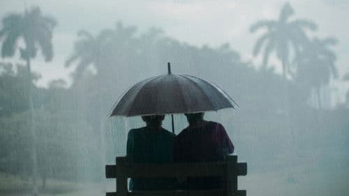 Querido Trópico Bild 2