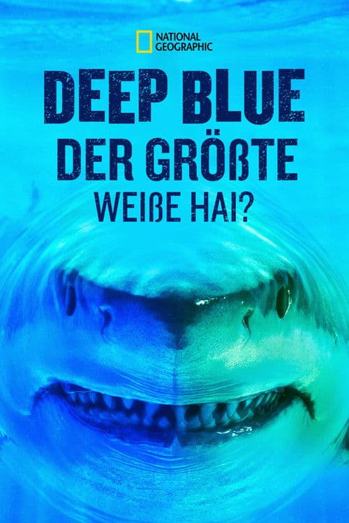 Der größte Weiße Hai? – Expedition Hawaii