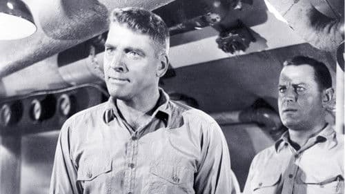 U 23 - Haie im Pazifik Bild 8