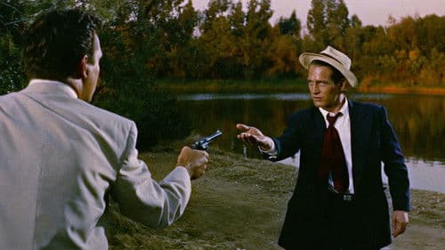 Der lange heiße Sommer Bild 2