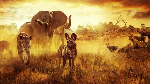 Überleben im Paradies: Eine Familiengeschichte Bild 4