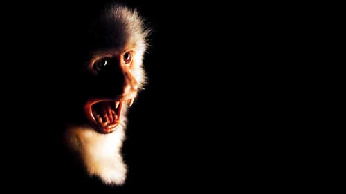 Outbreak - Lautlose Killer Bild 1