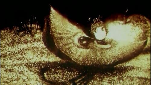 Сказки леса Bild 1