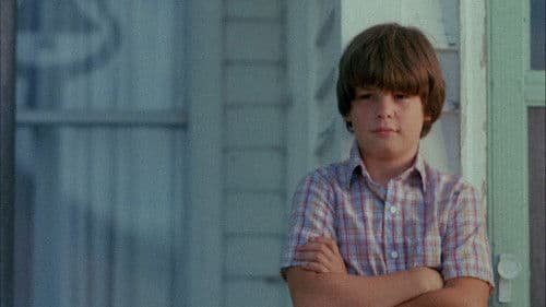 The Stone Boy Bild 1