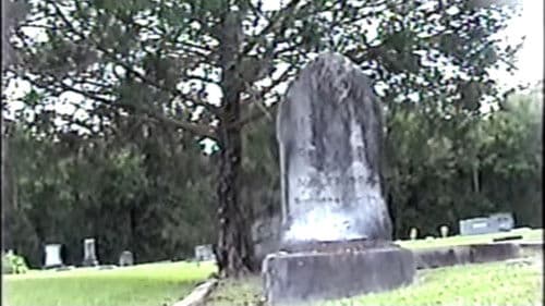 Harvest Brood Bild 4